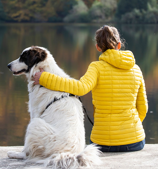 Woman relaxing with her dog at the lake in beautiful autumn sunset.