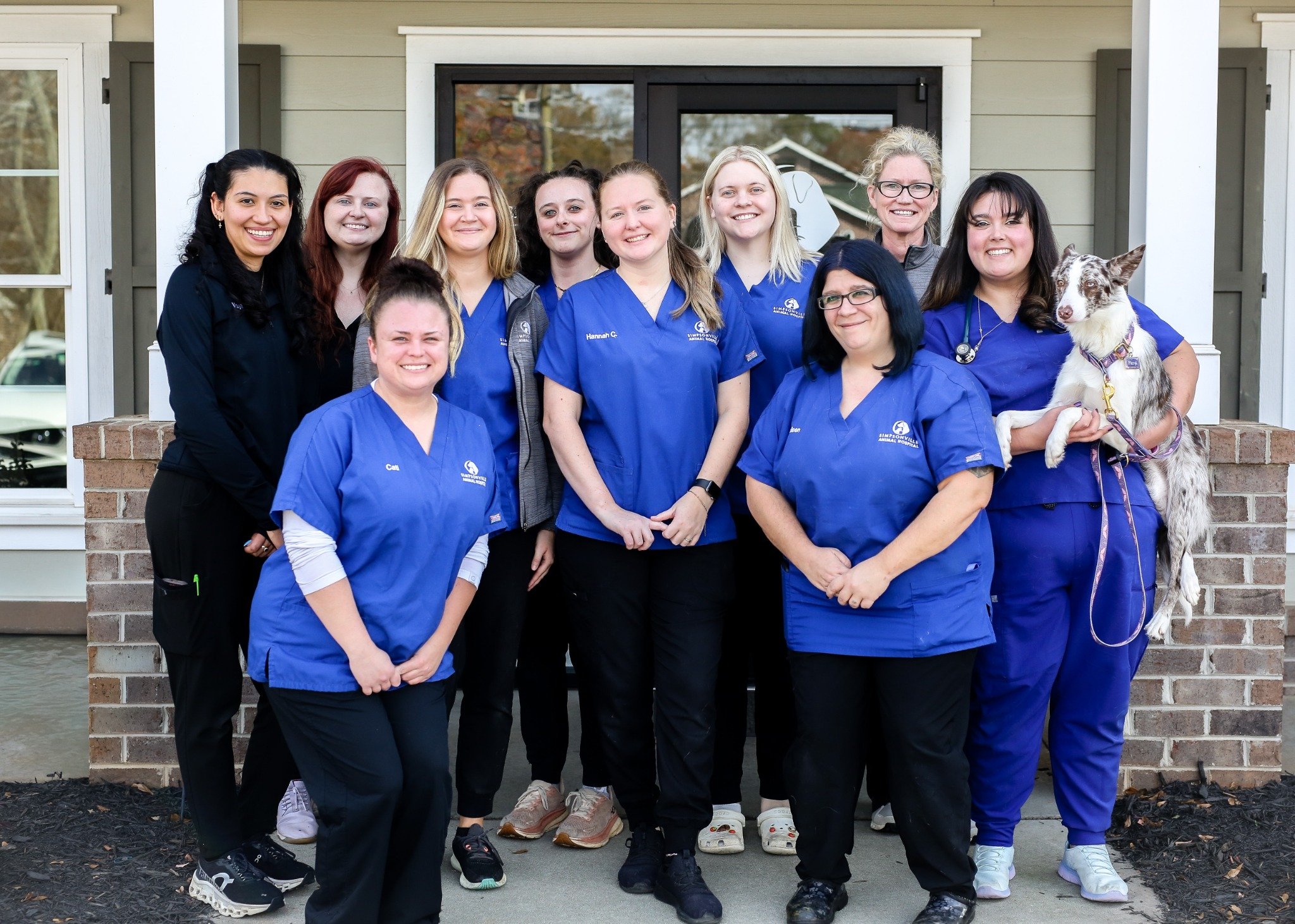 vet team at simpsonville