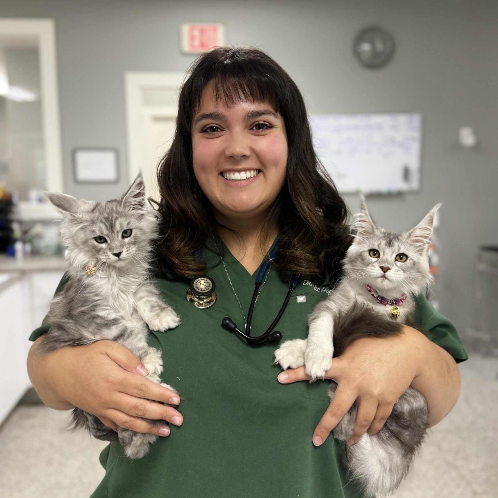 Vet tech holding two cats